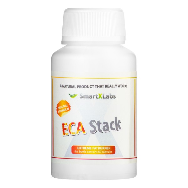 obrázek ECA Stack